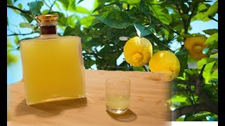 Homemade Limoncello  Italian lemon liqueur recipe [upl. by Leta]