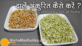 How to Sprout pulses at home   दालों को अंकुरित करें । How to Sprout Lentils [upl. by Nemad]