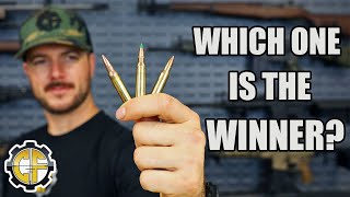 What Is The Best 556 Round M193 vs M855 vs MK262 [upl. by Kcirneh855]