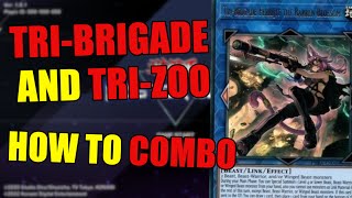 Master Duel  TriBrigade Combo Guide  Strong Zoodiac Combos [upl. by Debor]