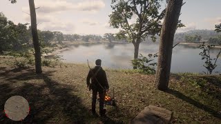 RDR2 Survivalist Challenge 8 [upl. by Engedi]