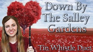 Down By The Salley Gardens  Tin Whistle Duet  TABS TUTORIAL [upl. by Krueger]