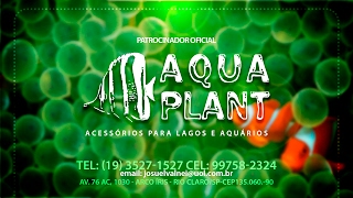 Patrocinador Aqua Plant apoiando a Reef Calvetti [upl. by Nongim]