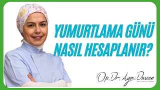 Yumurtlama Günü Nasıl Hesaplanır [upl. by Leirua]