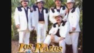 LOS RAZOSEL MONO DE ALAMBRE [upl. by Sueahccaz258]