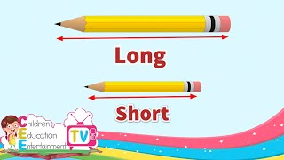 Long and Short  Comparing Lengths  Kindergarten Lessons  Math for Kids Episode 61 [upl. by Willis]