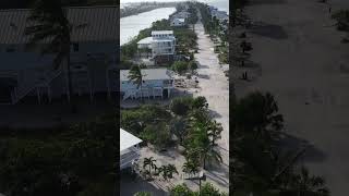 Hurricane Helene Palm Island [upl. by Marci680]