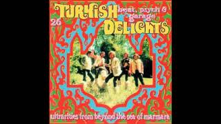 Various – Turkish Delights 26 Turkish Beat Psyche amp Garage Delights Music Album Compilation LP [upl. by Pelage]