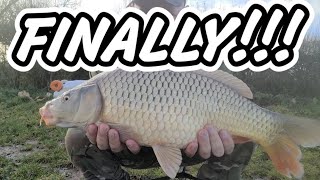 FINALLY CAUGHT AN AUTUMN CARP HSF PAULYS LAKE  CARP FISHING AUTUMN 2023 [upl. by Nihahs]