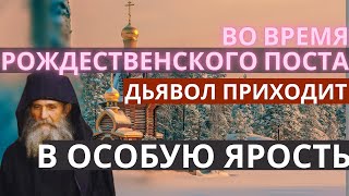 Во время рождественского поста диавол приходит в особенную ярость Старец Ефрем Аризонский [upl. by Winser]