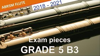 Flute ABRSM Grade 5 20182021 B3 Peterson Berger’s Sommarsång  ABRSM from 2022 B7 [upl. by Edialeda]