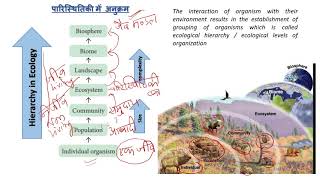 Ecology introduction and basic concepts Class 1Ecology definition Autecology synecology [upl. by Grinnell172]