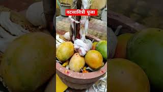 वटसावित्री पूजा स्टेटस vat Savitri Puja status shorts [upl. by Emmanuel]