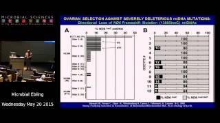 Dr Doug Wallace  Talk from 8th Annual Oliver Smithies Symposium [upl. by Faus]