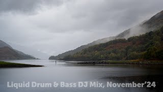 Liquid Drum amp Bass DJ Mix November24 [upl. by Jentoft629]