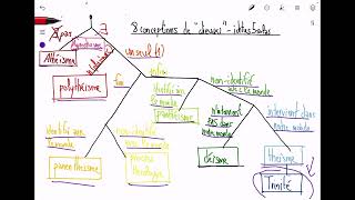 8 Conceptions de dieu  Athéïsme agnosticisme déïsme théïsme trinité panthéïsme panenthéïsme [upl. by Haelat21]