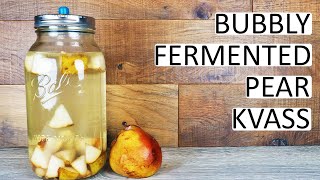 Pear Kvass  A Bubbly Sweet Fermented Soda Drink From Start To Taste Test [upl. by Oah]