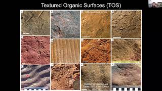 Life and Death in the Ediacaran Evolutionary Environmental and Preservational   Lidya Tarhan [upl. by Furr821]