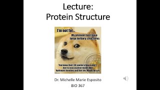 BIO 367 Biochemistry Lecture on Protein Structure amino acids zwitterions folding and more [upl. by Nire]