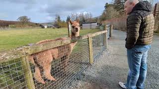 Part 2 Lakes Wildlife Park  Bassenthwaite  Keswick  2222024 [upl. by Nalepka]