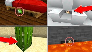 DESAFIO SUPREMO de ACHAR O HAMSTER no MINECRAFT FIND CHOMIKS [upl. by Nwahsram]