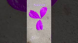 Purple land dance [upl. by Octavian]