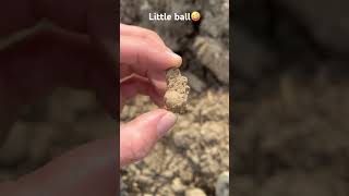 war 1866 history metaldetecting little shots shorts fypシ゚viral [upl. by Asyral492]