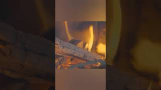 11°C Solo Camping in Snow with My DogRelaxing in the Hot Tent Wood Stove ASMR camp camping [upl. by Artemahs657]