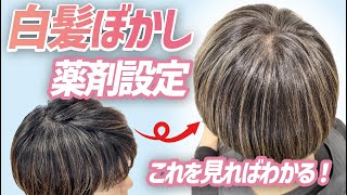 【ファイバープレックス】これを見れば白髪ぼかしの薬剤設定がわかる！ハイライトで重い・黒いい・オレンジっぽい白髪染めを解決！ [upl. by Llenad154]