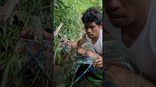 Daming ulang o freshwater shrimp sa mababaw lamang fishing fish [upl. by April247]