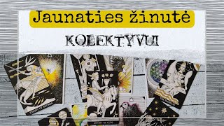 Jaunaties žinutė Taro kortomis kolektyvui Naujo mėnulio ciklo įtakos 1259 Lunacija [upl. by Oyr]