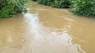 Appomattox River at Farmville above Moderate Flood Stage 208 Feet 8924 [upl. by Aihsema]