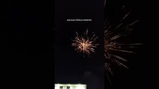 Har Raat Diwali Hongiya🪔✨ diwali gurnambhullar shortvideos trend youtubeshorts [upl. by Jary254]