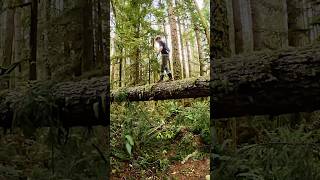 Massive damage at Duthie Hill Park 🌪️ Bomb Cyclone duthie bombcyclone pnw mtb [upl. by Grieve]