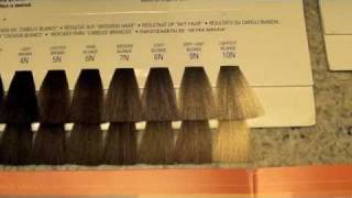 COSMETOLOGY HAIRCOLORING 3 COLOR LEVELS AND TONES [upl. by Yuht]