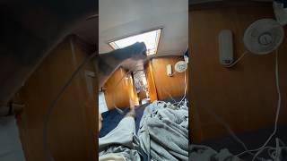 Inside sailboat during ROUGH seas oahuhawaii sailboat kaiwichannel roughseas [upl. by Redman]