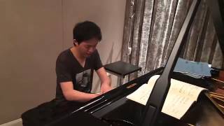 Yundi li Beethoven 李云迪2014贝多芬《热情》Home Style [upl. by Nwaf]