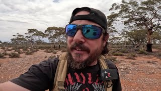 Short Drive from Kalgoorlie turns up Nice Gold Nugget with GPZ 7000 amp NF 17 x 13 Zsearch [upl. by Akiria]