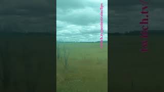 VLINE Southern Cross To Warrnambool 141223 victoria shorts shortvideo train travel views [upl. by Cad398]