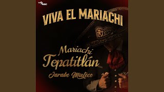 Jarabe tapatio [upl. by Merrell]