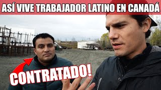 Por qué CONTRATAN TANTOS LATINOS en Canadá 🇨🇦 Gran oportunidad [upl. by Ahsenhoj]