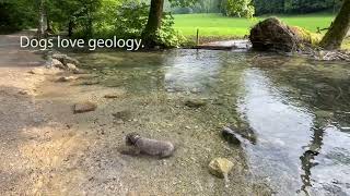 Raging river and Meandering river Videos 23 combined [upl. by Rhianon]