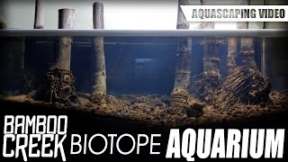 THE BAMBOO CREEK BIOTOPE AQUARIUM [upl. by Ludvig]