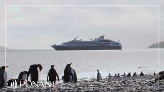 Notre politique environnementale avec Nicolas Dubreuil  PONANT [upl. by Akienom]