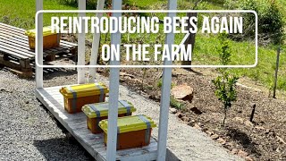 Welcoming 4 new hives to our farm [upl. by Mehsah]