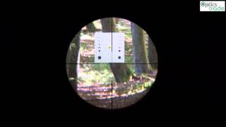 Vortex Viper HS 624x50 reticle BDC subtensions [upl. by Sharpe]