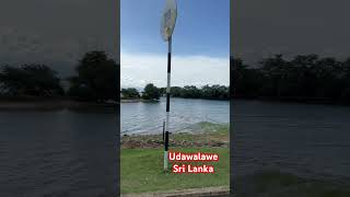 Udawalawe travel nature srilanka trending [upl. by Pesvoh]