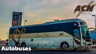 Autobuses Coordinados de Nayarit ACN [upl. by Zorana]