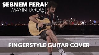 Mayın Tarlası  Şebnem Ferah  Fingerstyle Guitar Cover [upl. by Rehpotisrhc]