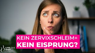 Kein Zervixschleim  kein Eisprung 😱 I Das solltest du wissen [upl. by Harriott]